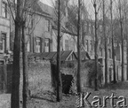 1946 Lille [Photo] Mur