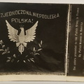 1918 z-Divers [Drapeau] de l'armée polonaise en France, carte postale US 1918