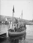 1940-05-14 Narvik [Photo] 05