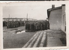 1942-05-19 Fallingbostel [Photo] Stalag XI B 05