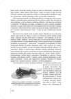 Seria-Ocalic-od-zapomnienia-2015-Wspomnienia-boleslawieckich-reemigrantow-Francja  page-0163