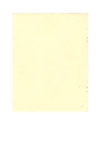 Napoléon, Fraternité d'armes franco-polonaise page-0045