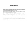 Le gouvernement et l'armée polonaise page-0341