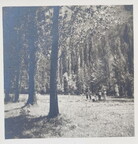 1941 Ussat [Photo] Camp de réfugiés polonais 07