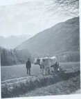 1941 Ussat [Photo] Camp de réfugiés polonais 17