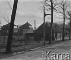 1945-1946 Lys-lez-Lannoy [Photo] Habitation soldats 2ème Division à pied polonaise 03